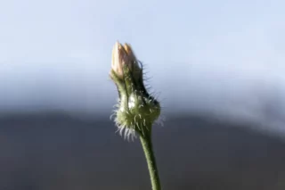 Proceso de cambio personal por Susana Castaño Coaching