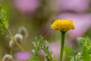 Proceso de cambio personal por Susana Castaño Coaching