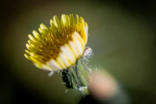 Proceso de cambio personal por Susana Castaño Coaching