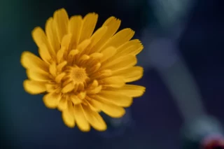 Proceso de cambio personal por Susana Castaño Coaching