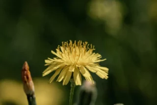 Proceso de cambio personal por Susana Castaño Coaching