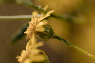 Proceso de cambio personal por Susana Castaño Coaching