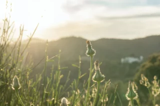 Proceso de cambio personal por Susana Castaño Coaching
