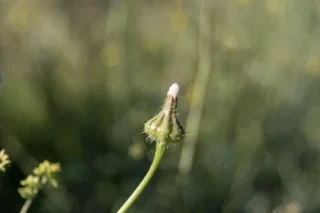 Proceso de cambio personal por Susana Castaño Coaching