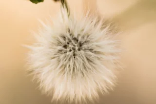 Proceso de cambio personal por Susana Castaño Coaching